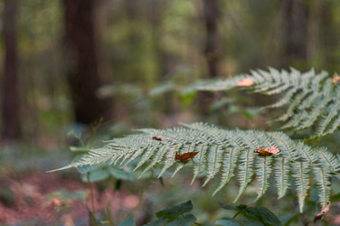 Similar image 22296290