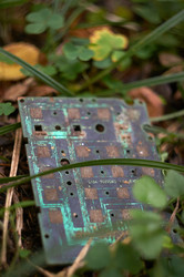 Similar image 22296291