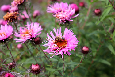 Similar image 22290016