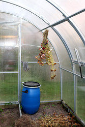 Similar image 22290017