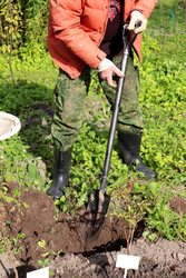 Similar image 22290022