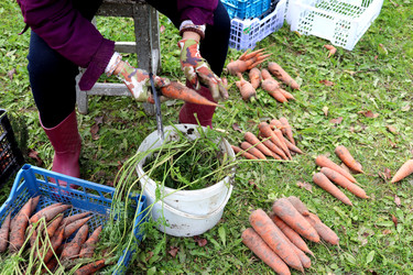 Similar image 22290024