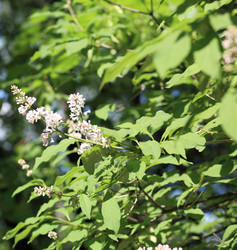 Similar image 22292898