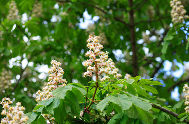 Similar image 22292906