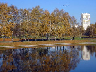 Similar image 22292908