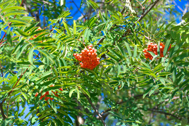 Similar image 22292910