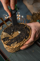 Similar image 22331377