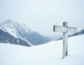 Similar image 22310802