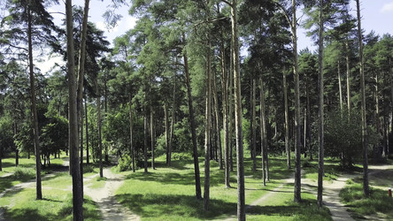 Similar image 22290823