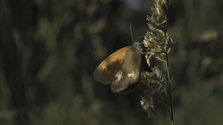 Similar image 22293605