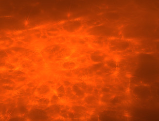 Similar image 22295965