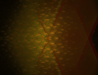 Similar image 22296164