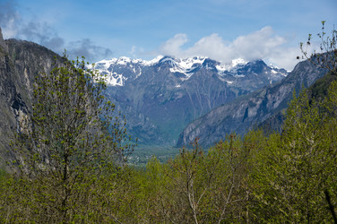 Similar image 22298669