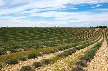 Similar image 22298679