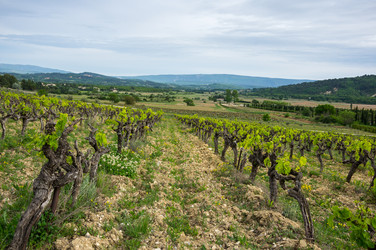 Similar image 22298684