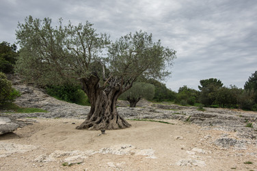 Similar image 22298807