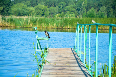 Similar image 22301076