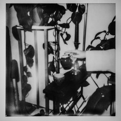 Similar image 22290826