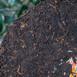 Similar image 22329934