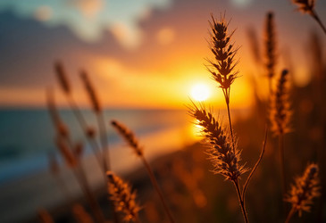 Similar image 22310219