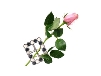 Similar image 22319373