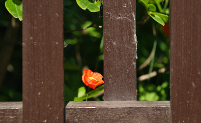 Similar image 22319374