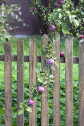 Similar image 22319380