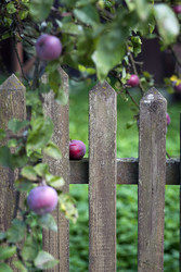 Similar image 22319381