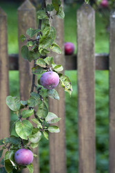 Similar image 22319382