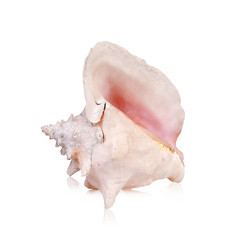 Similar image 22319391