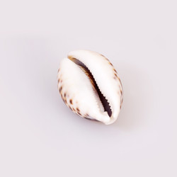 Similar image 22319393