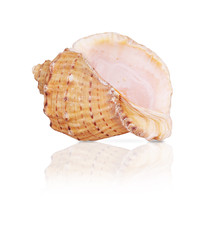 Similar image 22319394