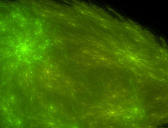 Similar image 22320585