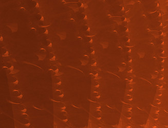 Similar image 22320586