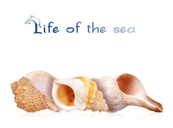 Similar image 22319395