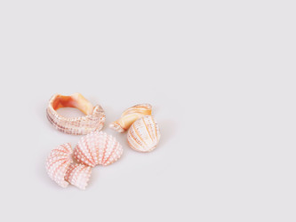 Similar image 22319396