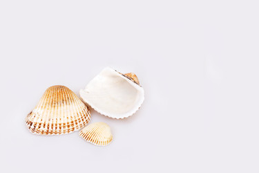 Similar image 22319397