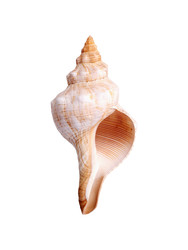 Similar image 22319398