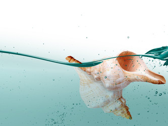 Similar image 22319399