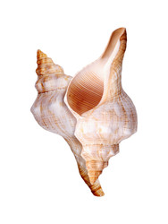 Similar image 22319400