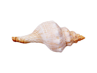 Similar image 22319401