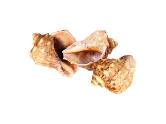 Similar image 22319404