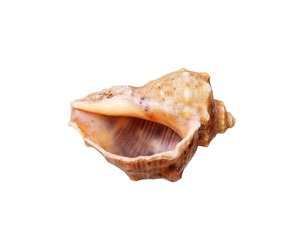 Similar image 22319405