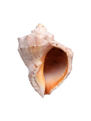 Similar image 22319406