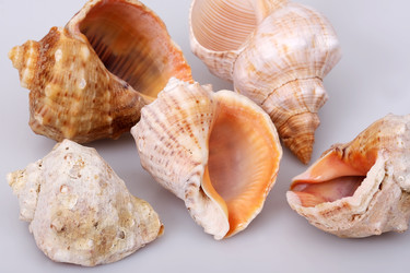 Similar image 22319408