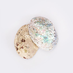 Similar image 22319412