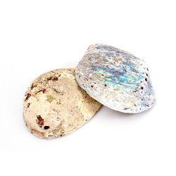 Similar image 22319413