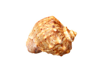 Similar image 22319414