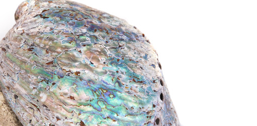 Similar image 22319415