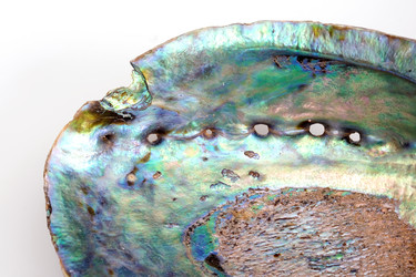 Similar image 22319416